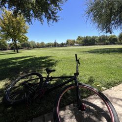 Se bike big ripper with disc brakes (full bike no problems)