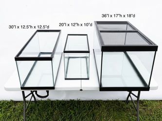 Multiple Glass Aquarium Tanks
