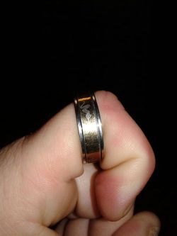 Men's titanium rolling ring has a snake on it