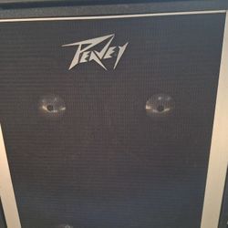 Peavy 4x12 Bass Cabinet Speaker