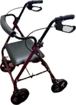 Adult walker