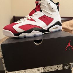 Jordan 6 Carmine Brand New Sz 9.5