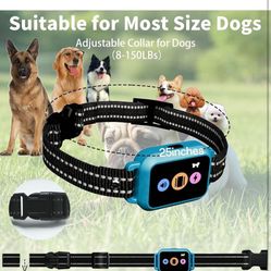 Dog Training Collar