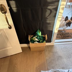 Hit Me Up. Everything In Pix 