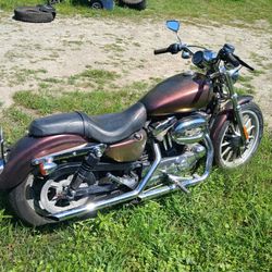 2004 Harley Davidson Sportster 1200