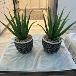 2 Faux Succulent Potted Plants 