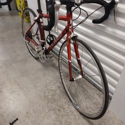 51 Cm Specialized Dolce COMP