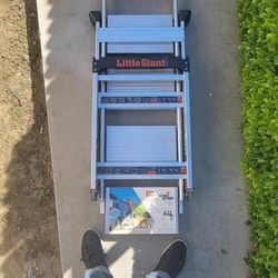 Little Giant Ladder