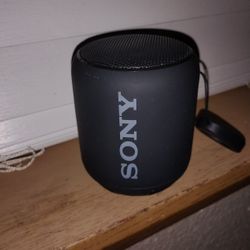Speaker 