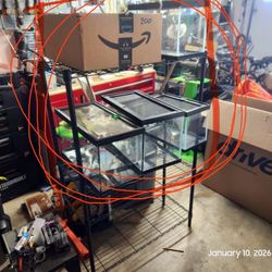 Complete Terrarium Setup Up 