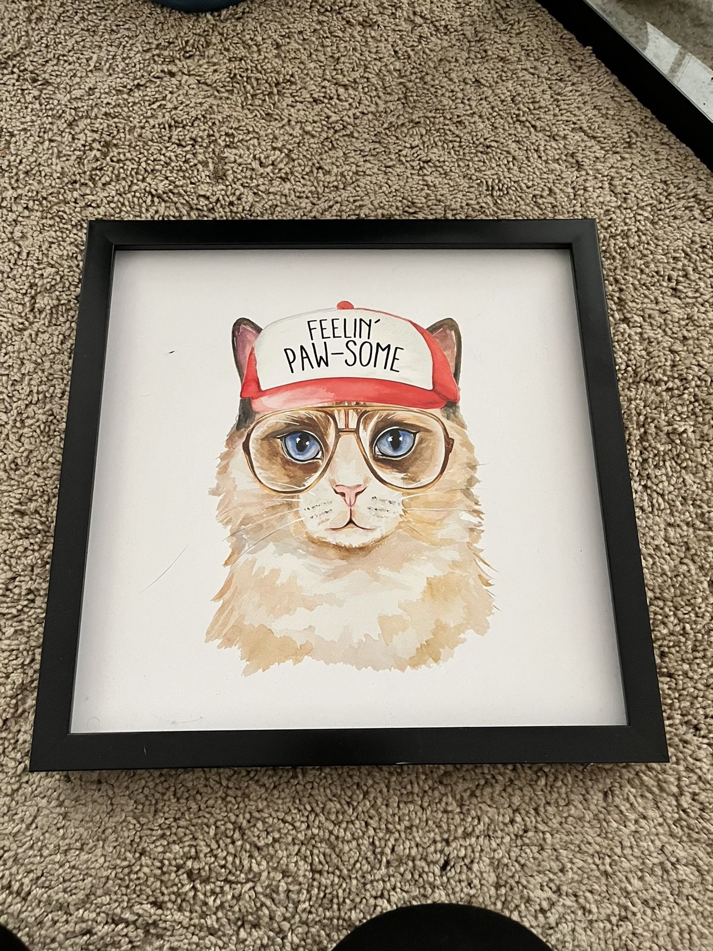 Cat Decor