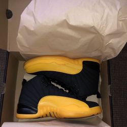 Air Jordan 12 Retro