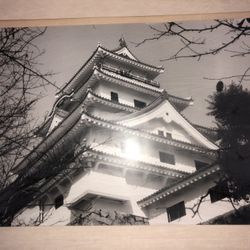 Vintage Framed Photo Asian Temple Shrine 17x13 Inches