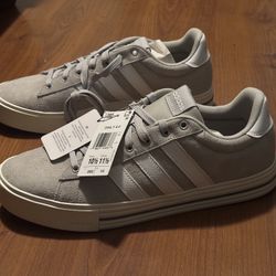 Adidas Daily 4.0 Gray/White