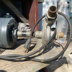 Pool Pump And Motor 