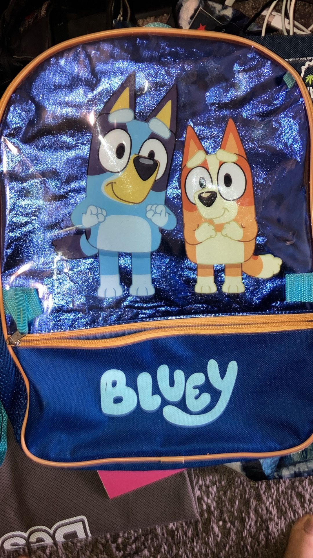 Kids Bluey Backpack And Lunch Box