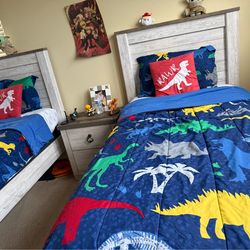 Dinosaur comforter sheets set