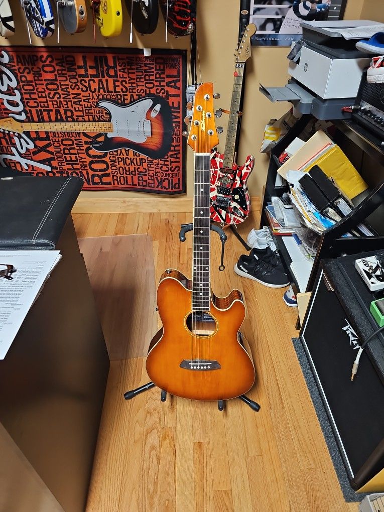 New 2024 IBANEZ TALMAN Acoustic Electric