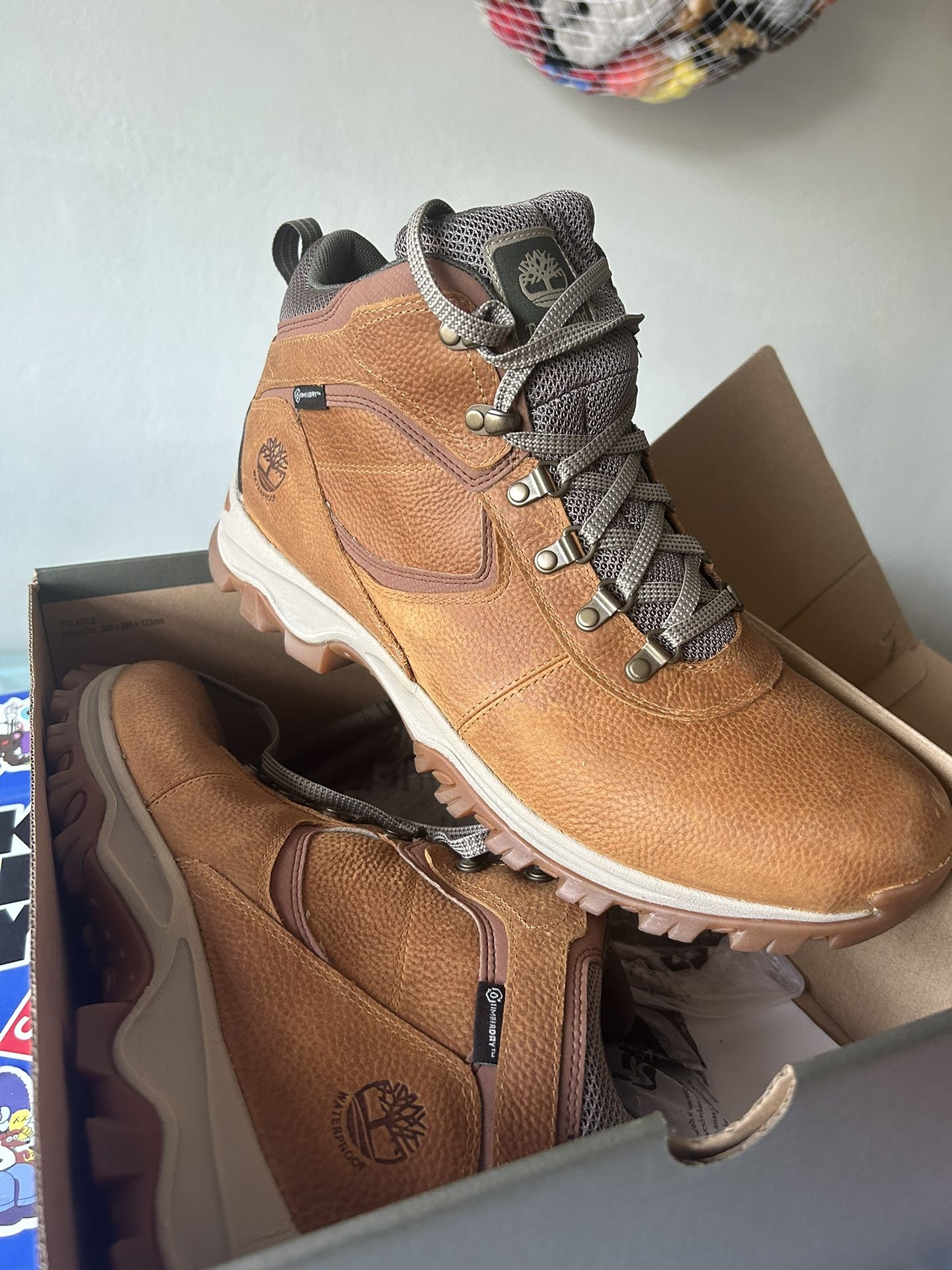 Timberlands (Brand New)