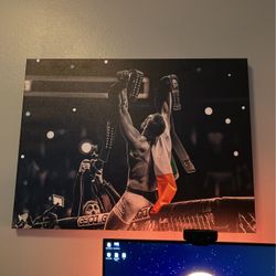 Conor Mcgregor Canvas