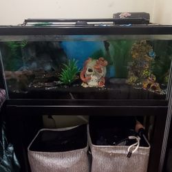 Fish Tank With Stand And Accessories.  Spent $300+ On Everything You See