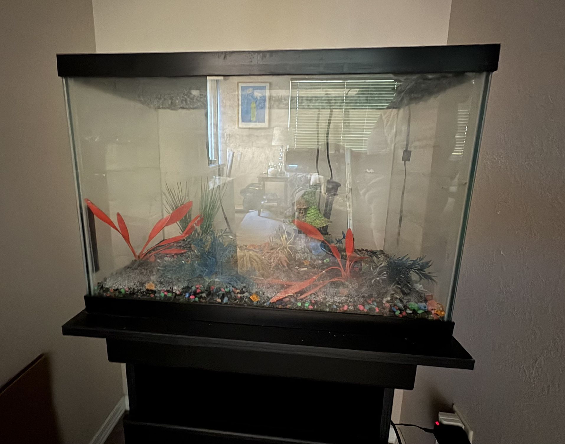 AQUEON 20 Gallon Rimless Rectangle Fish Tank