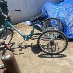3 Wheel Bike