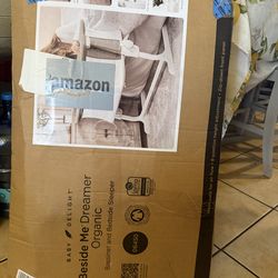 Baby delight beside me dreamer bassinet