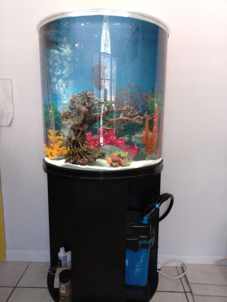 40 gallon Aquarium & Filter