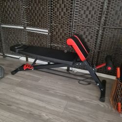 Soozier Fitness Multi Function Weight Bench / Back Extension