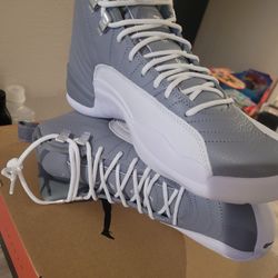 Jordan's retro 12