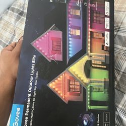 Govee Lights 