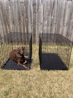 XL Dog Crates