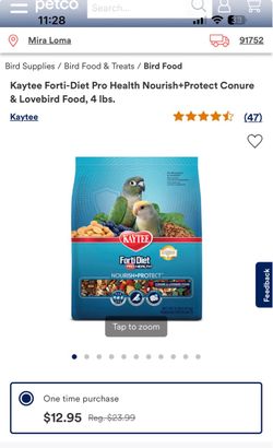 Bird food