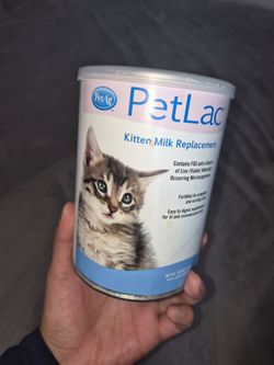 Petlac milk replacement kitten food