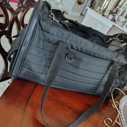 Black Dog Bag In Spring Hill