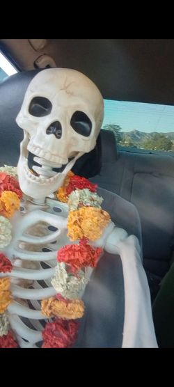 Hallowinskis Comin Calavera Rarrr