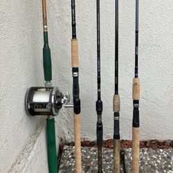 Saltwater / Inshore / Bass Fishing Rods