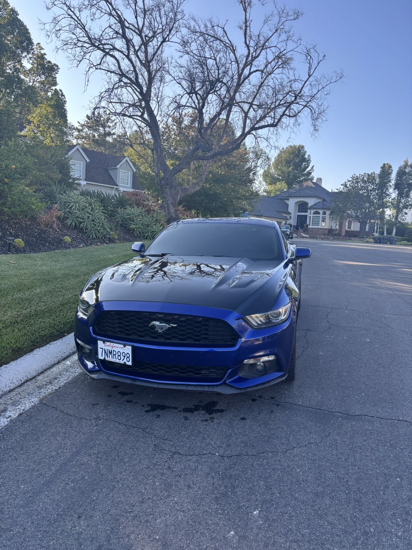 2016 Ford Mustang