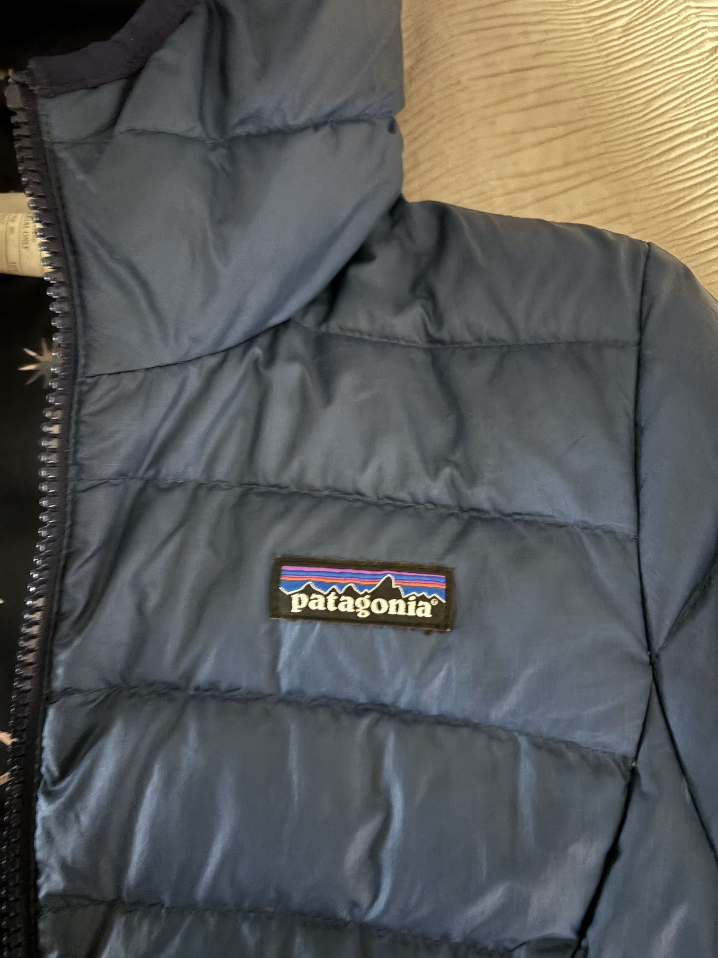 Patagonia Nano Puffer Coat (Size L12 Kids)