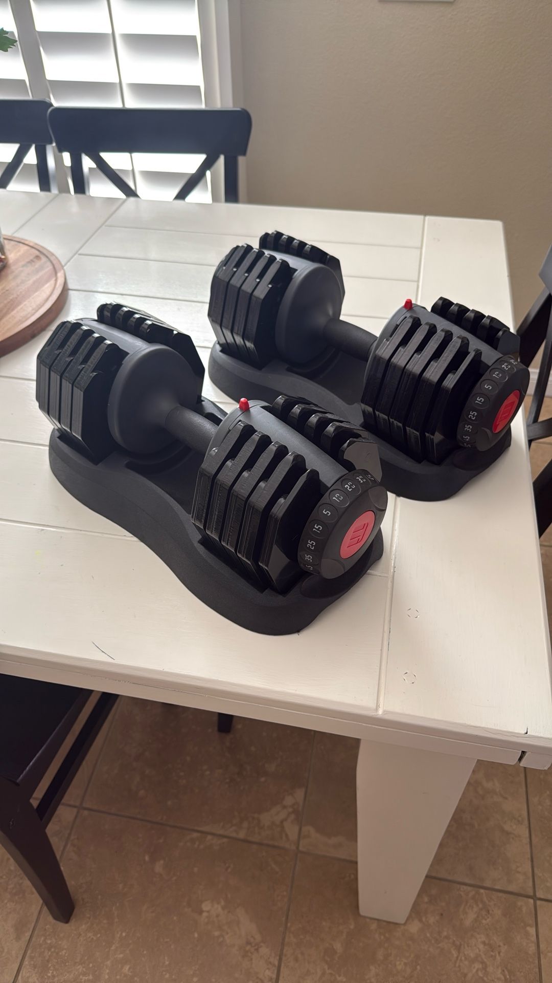 Ethos 50 Pound Selectable Dumbbells