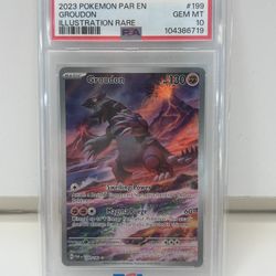 Groudon Illustration Rare