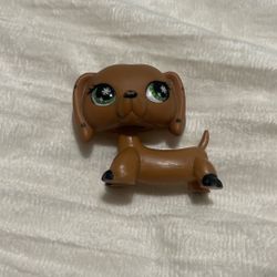 LPs Dog