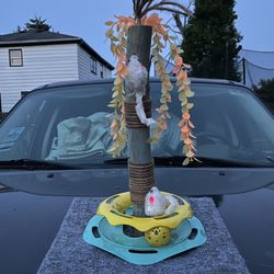 Cat Scratcher (READ DESCRIPTION)