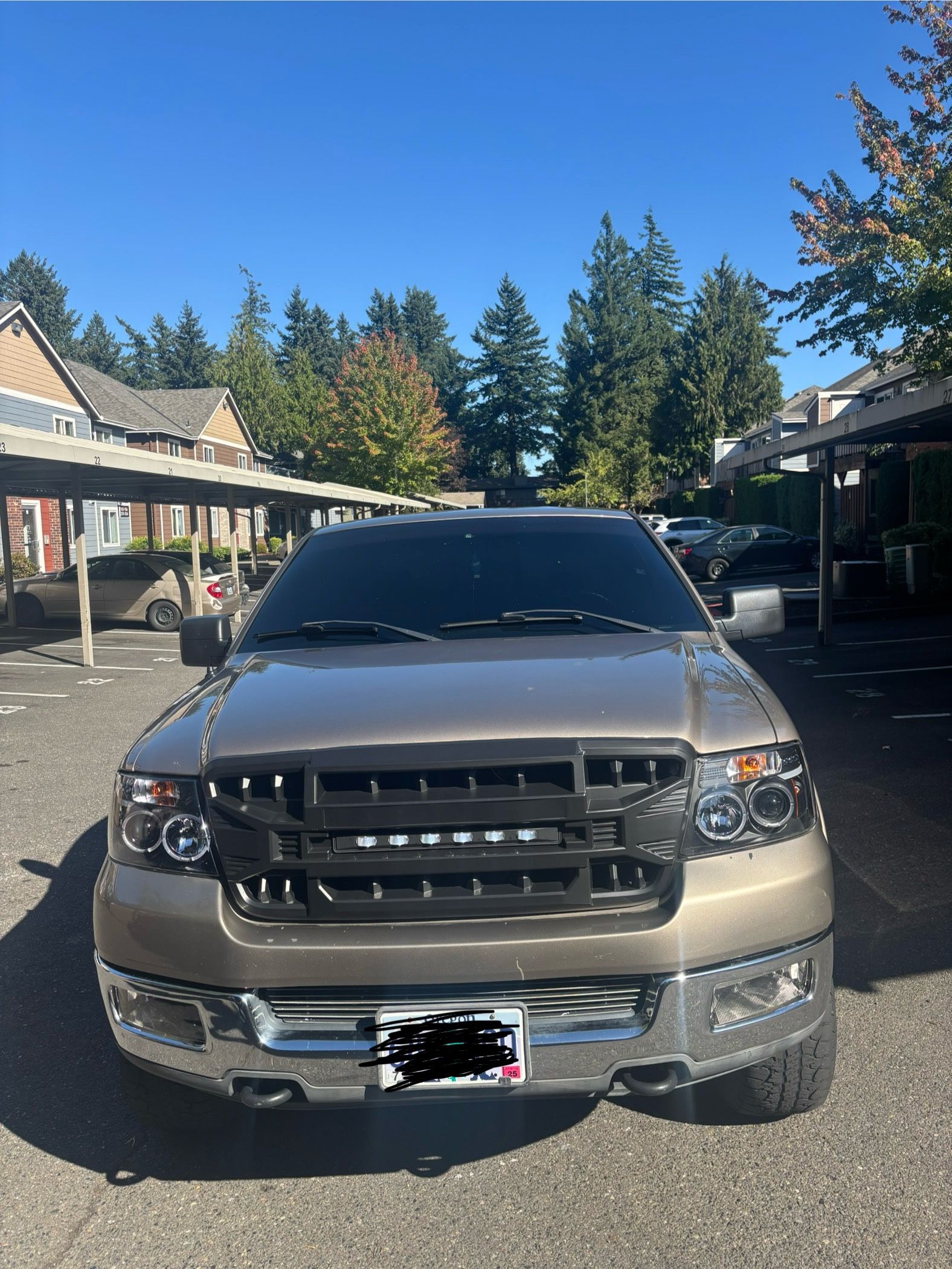 2004 Ford F-150