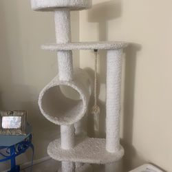 Cat Tower , Stroller 
