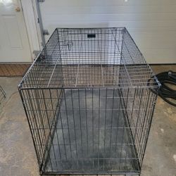 Large  Dog  Cage