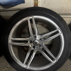 Asanti Black Label Orion 