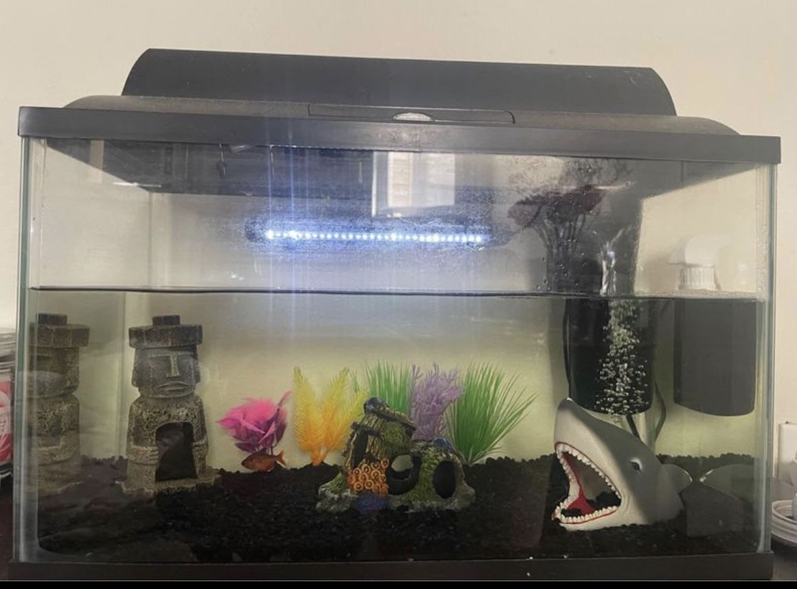 Aquarium (Fish Tank)