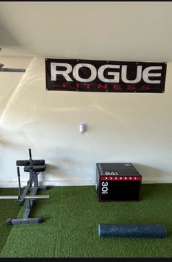 Gym Rogue Flag